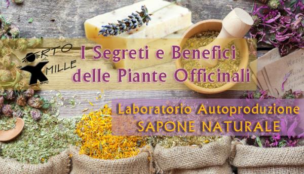 Segreti e benefici delle piante officinali con laboratorio autoproduzione sapone naturale